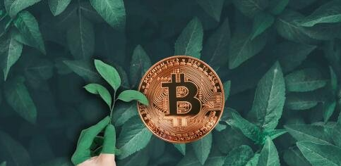 安币账户设置界面截图1